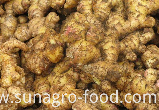 Fresh Normal Fresh Ginger